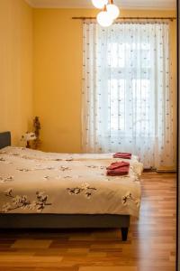 a bedroom with a bed and a large window at casa max in Timişoara