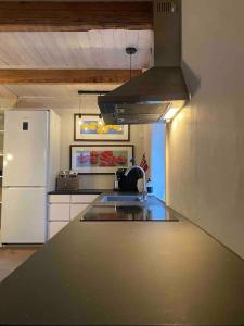 a kitchen with a refrigerator and a counter top at Unique Experience in Oslo's Heart in Oslo