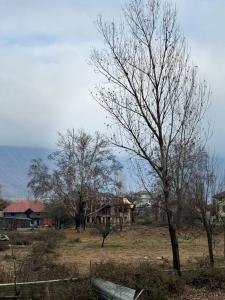 a tree in the middle of a field with houses at Feather Stays - 4 BHK Apartment in a Villa in Srinagar