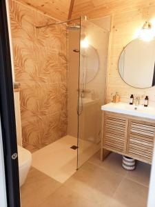ein Bad mit einer Dusche und einem Waschbecken in der Unterkunft maisonette et spa bois in La Bégude-de-Mazenc