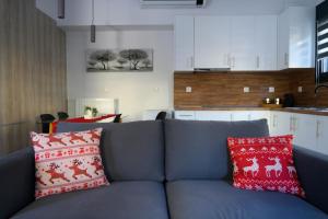 a blue couch with red pillows in a kitchen at Minimal Condo in Tríkala