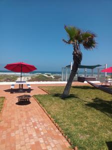 una palmera sentada junto a una playa con un banco en Bungalos Las Esperanzas, en Cabo Punta Banda