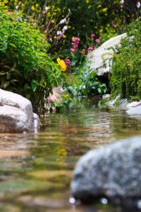 a stream of water with rocks and flowers at El Carmelo Mountain Lodge in Potrerillos