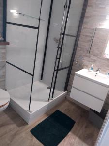 a bathroom with a shower and a toilet and a sink at Au cœur de la nature in Saint-Louis