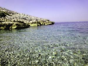 a large group of rocks in the water at La Petite Calanque in Marseille