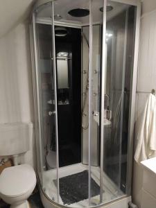 a glass shower in a bathroom with a toilet at Ferienhaus Sommer Linden in Deyelsdorf