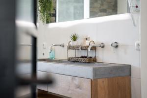 een badkamer met een wastafel met twee kranen bij Luxe bosvilla De Paradijsvogel in Rijs