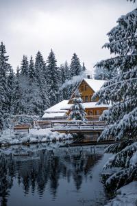 a house covered in snow next to a lake at Rezort pri Jazere Podbanské in Vysoké Tatry