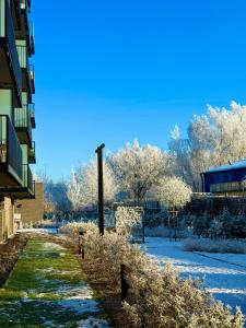 una acera cubierta de nieve junto a un edificio con árboles en Belnea Nadmotławie - Comfy Apartments, en Gdansk