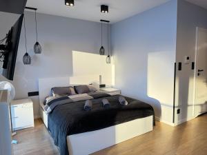 a bedroom with a large bed in a room at Old Town Nadmotławie - Sauna & Gym I 10min deptak in Gdańsk