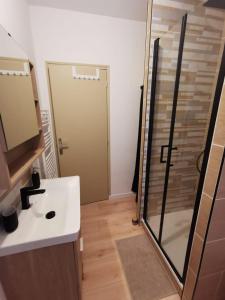 a bathroom with a shower and a sink and a mirror at La Monaco du Nord in Granville +31 photos