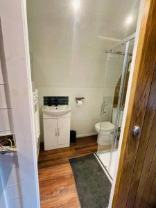 a bathroom with a toilet and a glass shower at Clyde Croft - (Luxury Cabin) in Portpatrick