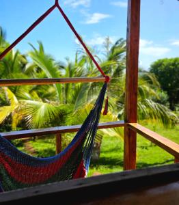 The Lighthouse Retreat, Little Corn island, Nicaragua外面的花园