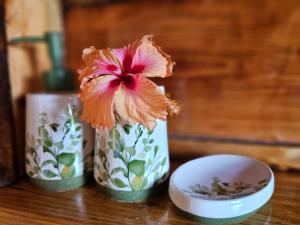 小玉米岛The Lighthouse Retreat, Little Corn island, Nicaragua的相册照片