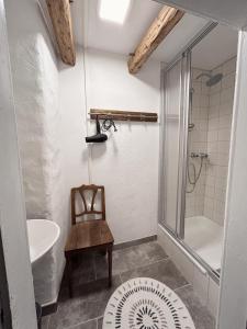 a bathroom with a shower and a toilet and a sink at Ferienhaus Alpenglück in Wenns