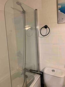 a bathroom with a shower and a toilet at APARTAMENTO PLAYA URB PRIVADA 2 Habitaciones in Valencia