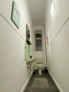 ein kleines Bad mit einem Waschbecken und einem WC in der Unterkunft Modernisierte, traumhafte Wohnung in zentraler Lage in Wiesbaden
