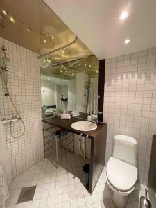 bagno con servizi igienici, lavandino e specchio di Great Family Unit Quiet and Central in Oslo a Oslo
