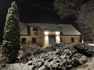 une maison avec un arbre de Noël dans la neige dans l'établissement Akmerenta - Kadagių dvarelis, à Akmenė