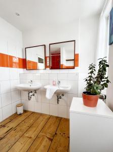 a bathroom with two sinks and a potted plant at Ferienhaus Zum Lochstein - FW Kornboden in Sankt Andreasberg
