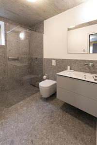 ein Bad mit einem WC, einem Waschbecken und einer Dusche in der Unterkunft Ferienhaus TierbachLodge in Herrentierbach