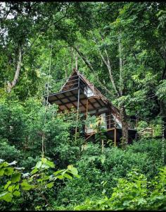 una casa en el árbol en medio de un bosque en Sunset Valley Kerala - Where Every Evening Unveils a Perfect Sunset with Private Summer Stream, en Pīrmed