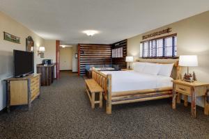 Stoney Creek Hotel Moline في مولين: غرفة نوم بسرير كبير وتلفزيون