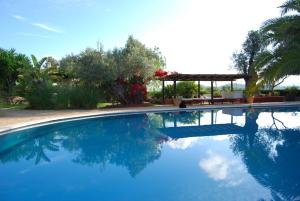 a swimming pool with blue water in a yard at Hotel Rural Cas Pla in Sant Miquel de Balansat