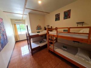 Dviaukštė lova arba lovos apgyvendinimo įstaigoje Slow Monkey Hostel