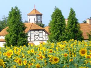 a field of sunflowers in front of a clock tower at Business Green Hotel Hino - Vacation STAY 16322v in Hino