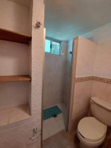 La petite salle de bains est pourvue d'une douche et de toilettes. dans l'établissement Quinta Luz de Luna, à Parras de la Fuente