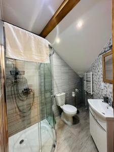 a bathroom with a shower and a toilet and a sink at Pietro Pokoje B&B Czarna in Czarna