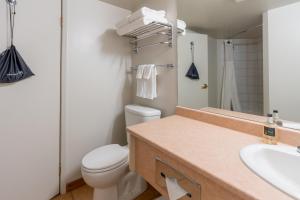 a bathroom with a white toilet and a sink at Sundance Lodge in Sun Peaks