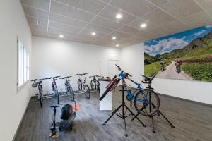 Fitness centrum a/nebo fitness zařízení v ubytování Motel Gottardo Sud