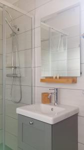 Un baño con lavabo y ducha con espejo. en Il Sottobosco, en Satriano di Lucania 26 fotos más