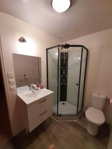 a bathroom with a shower and a sink and a toilet at Gîte Napoléon in Dienville