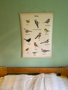 Postel nebo postele na pokoji v ubytování Fristad Hostel Vitsand