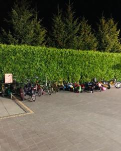 a row of bikes parked in a parking lot at Pietro Pokoje B&B Czarna in Czarna