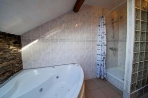 a bathroom with a tub and a shower at Sol Battire in Brisy