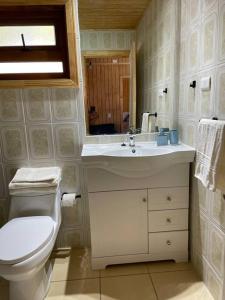 a bathroom with a toilet and a sink and a mirror at Comodidad y hermosa vista volcán in Melipeuco