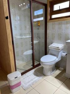 a bathroom with a toilet and a glass shower at Comodidad y hermosa vista volcán in Melipeuco