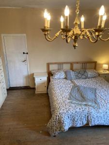 a bedroom with a bed and a chandelier at Ferienhaus Sommer Linden in Deyelsdorf