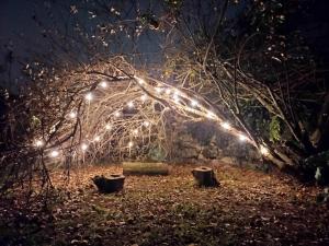 - une arche avec des lumières dans un jardin la nuit dans l'établissement Casa da Aldeia, à Vilela