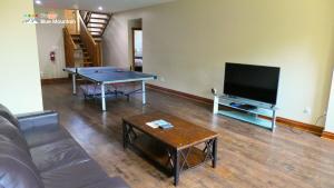 a living room with a ping pong table and a flat screen tv at 109 Plater St in Blue Mountains