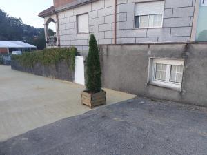 a christmas tree in a box in front of a house at Suite relax in Pontevedra