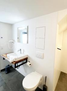 a white bathroom with a toilet and a sink at Ferienhaus Zum Lochstein - FW Gesindehaus in Sankt Andreasberg