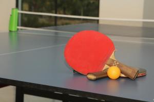 una raqueta de ping pong y un huevo sobre una mesa en Hotel Celeste Inn Chinauta- Fusagasugá, en Chinauta