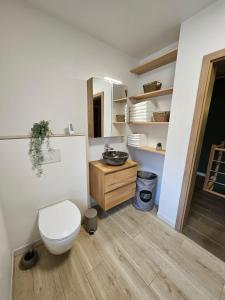 uma casa de banho com um WC e um lavatório em Les Secrets du Bois em Vielsalm