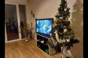 un albero di Natale in un soggiorno con televisore di Beau apartment Châtenay-Malabry a Châtenay-Malabry