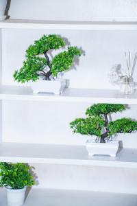 カンパラにあるCozy Residence I, 1 bedroom Apartment Kyanjaのギャラリーの写真 +30枚の写真